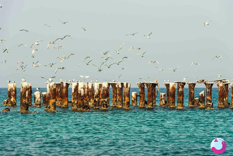 سفر با تور لحظه آخری کیش